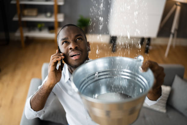 Best Professional water damage repair  in La Pine, OR