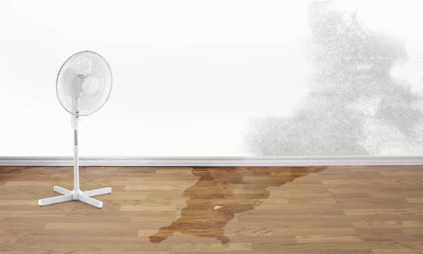 Best Residential water damage restoration  in La Pine, OR