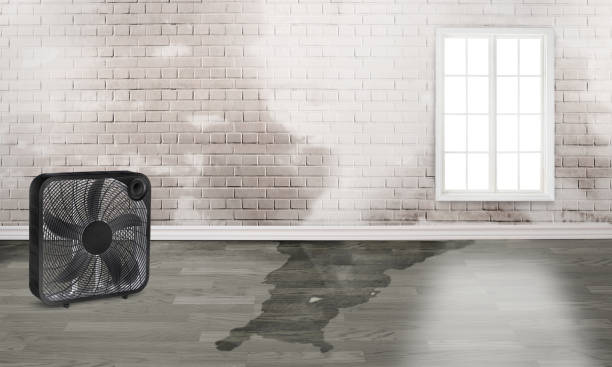 Best Sewage cleanup and water damage restoration  in La Pine, OR